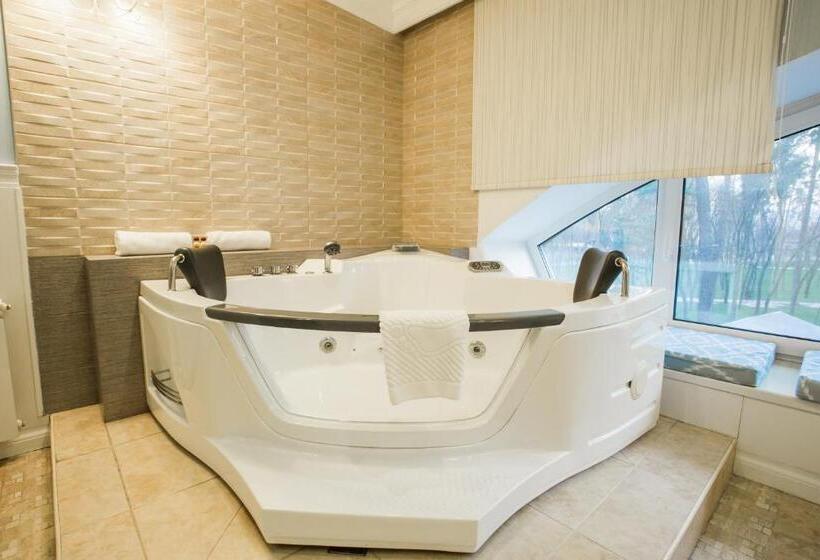 سوئیت جونیور با ماساژ آبی, Spa Hotel Myslyvskiy Dvir