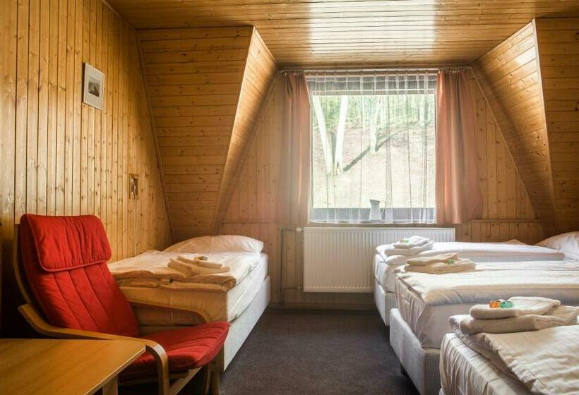 四人标准间, Konopiště Nová Myslivna