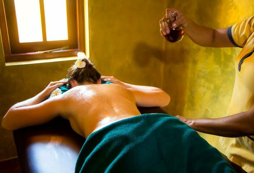 חדר דלוקס, Jasmin Villa Ayurveda Resort