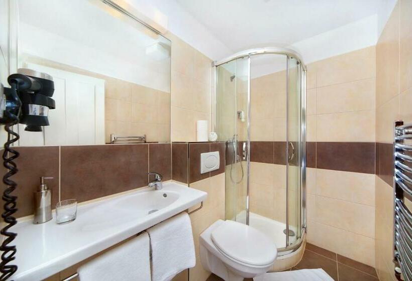 اتاق استاندارد, Erika