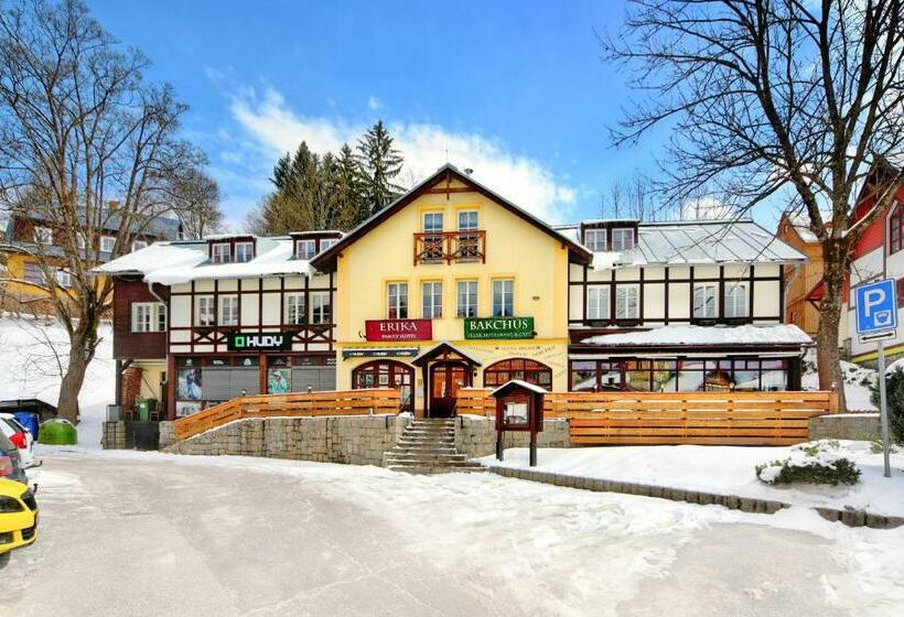 اتاق استاندارد, Erika