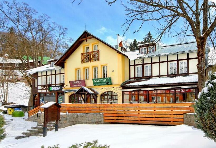 Номер Стандарт, Erika