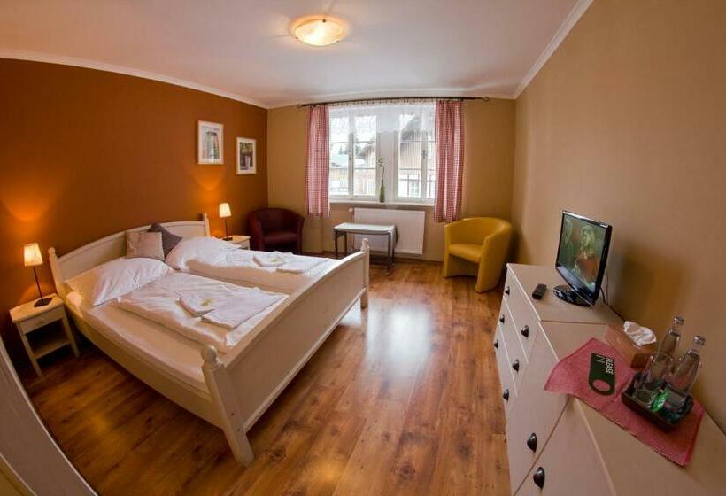 اتاق استاندارد, Erika