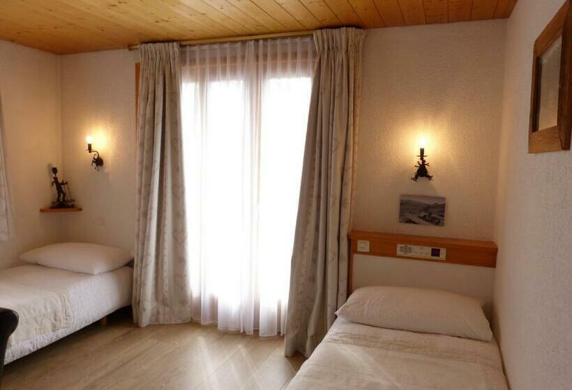 اتاق استاندارد با چشم‌انداز, Ermitage Verbier
