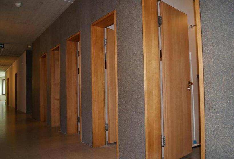 共用房间的床, Interlaken Youth Hostel