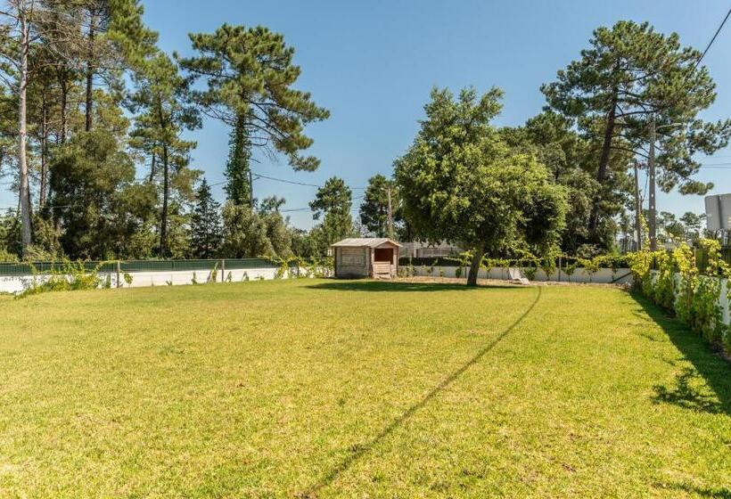 Номер Deluxe, Casa Das Vinhas