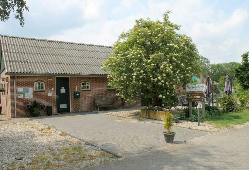 스탠다드 룸, Horsetellerie Rheezerveen