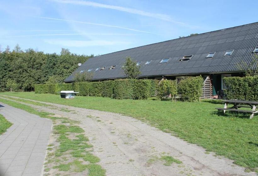 스탠다드 룸, Horsetellerie Rheezerveen