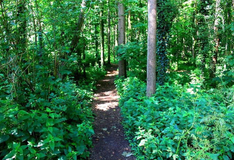 Quarto Superior, Zoomers Aan Het Bos