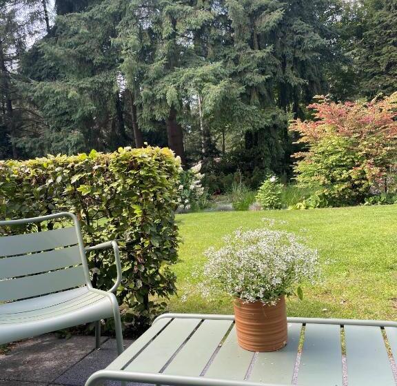 스탠다드 테라스 룸, Witte Berken Natuur