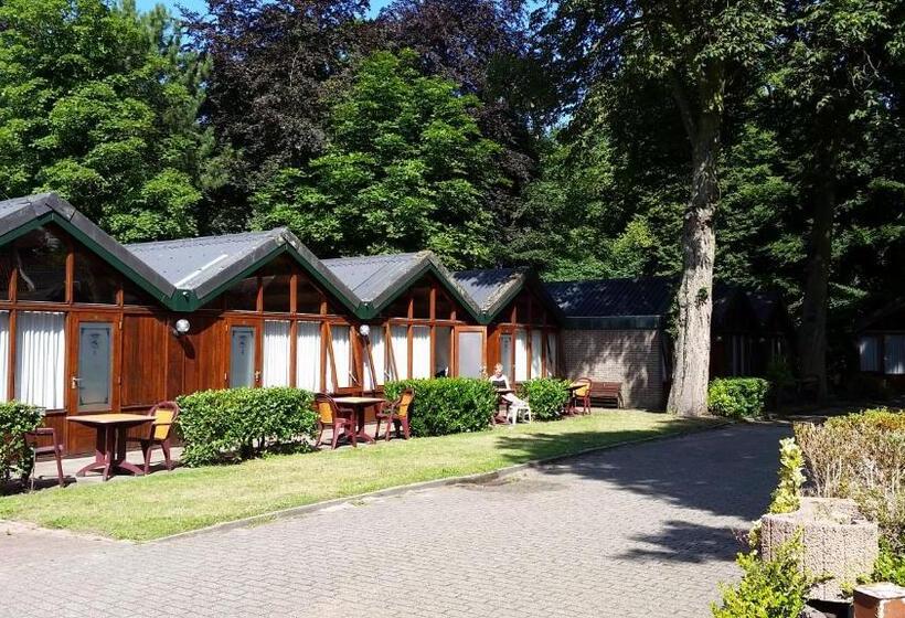 غرفة قياسية ثلاثية, Motel Oostvoorne