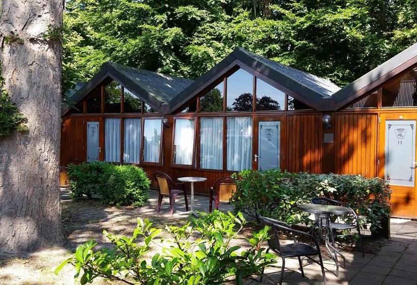 غرفة قياسية ثلاثية, Motel Oostvoorne