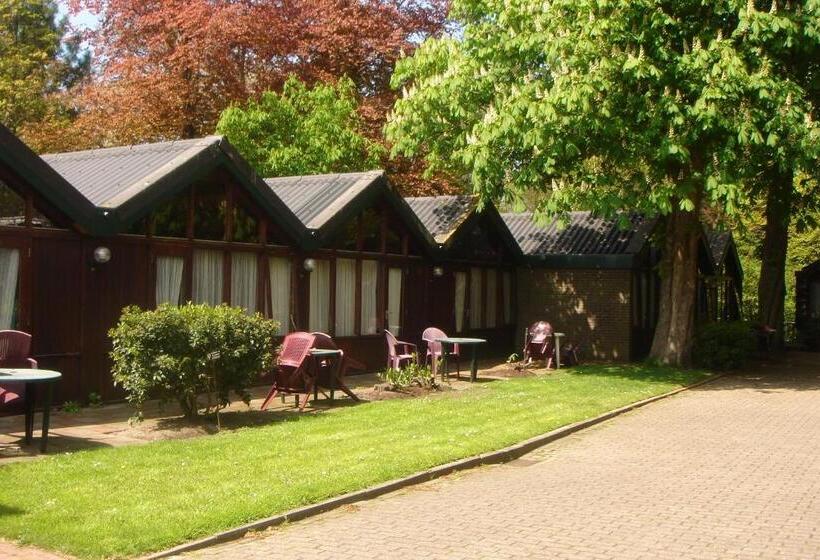 Номер Стандарт Трехместный, Motel Oostvoorne