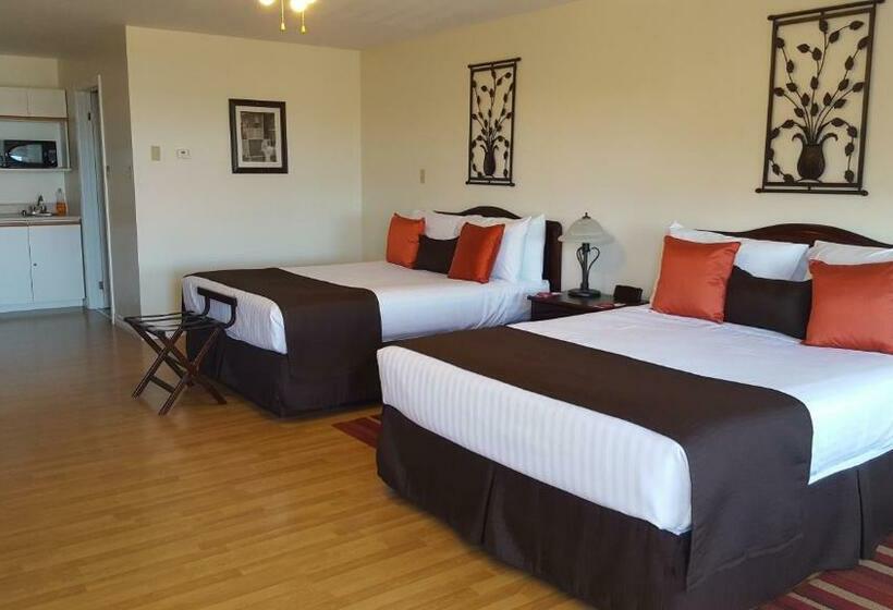 高级工作室, Harmony B&b & Suites