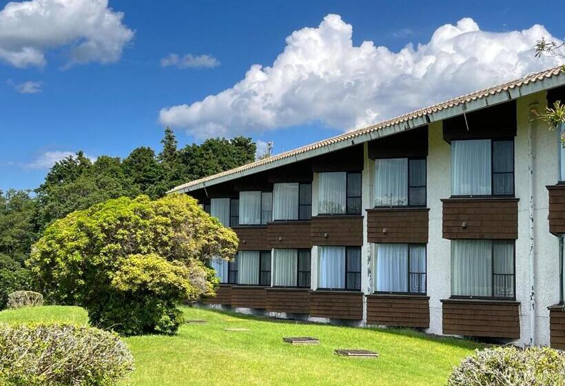 Quarto Estandar, Laforet Shuzenji