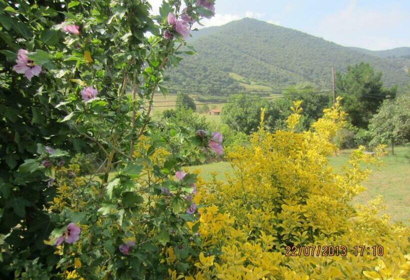 스탠다드 싱글 룸, Toscana