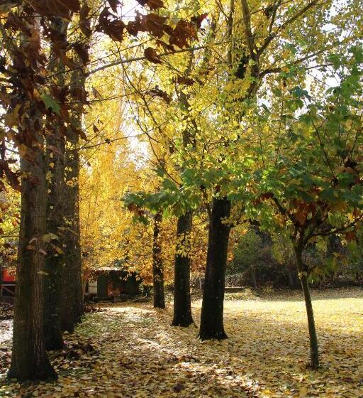 Студия Стандарт, Hostel El Lago, Caceres