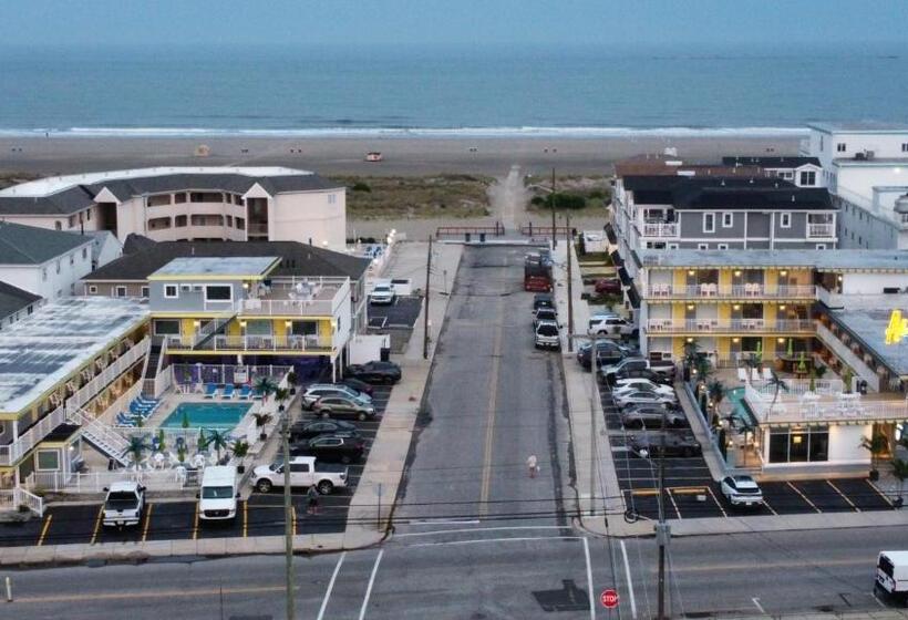 آپارتمان 1 خوابه با چشم‌انداز دریا, Ala Kai Resort Motel