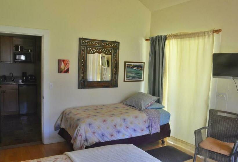 إستوديو ديلوكس, Banyan Tree B&b Retreat