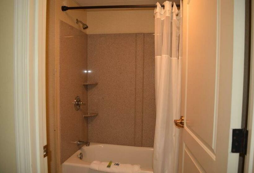 Стандартный Номер Кровать Кинг, Atkinson Inn & Suites
