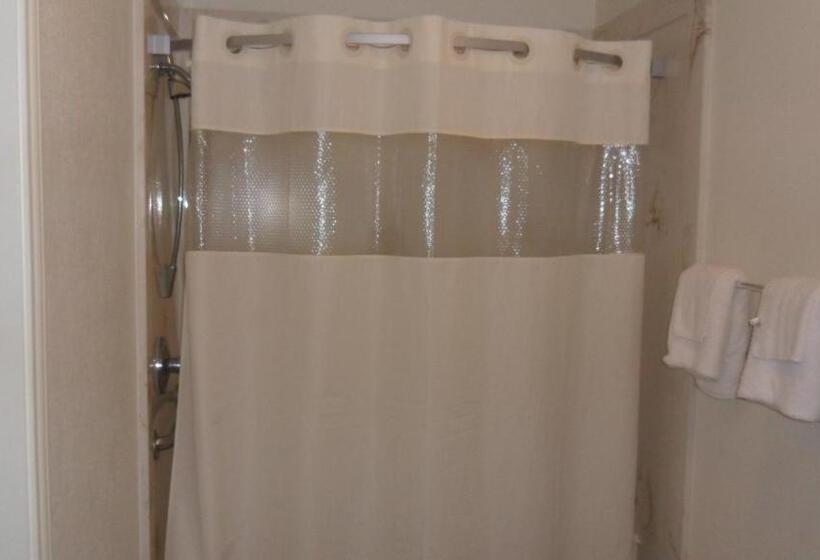 Номер Deluxe, Deluxe Inn Palacios