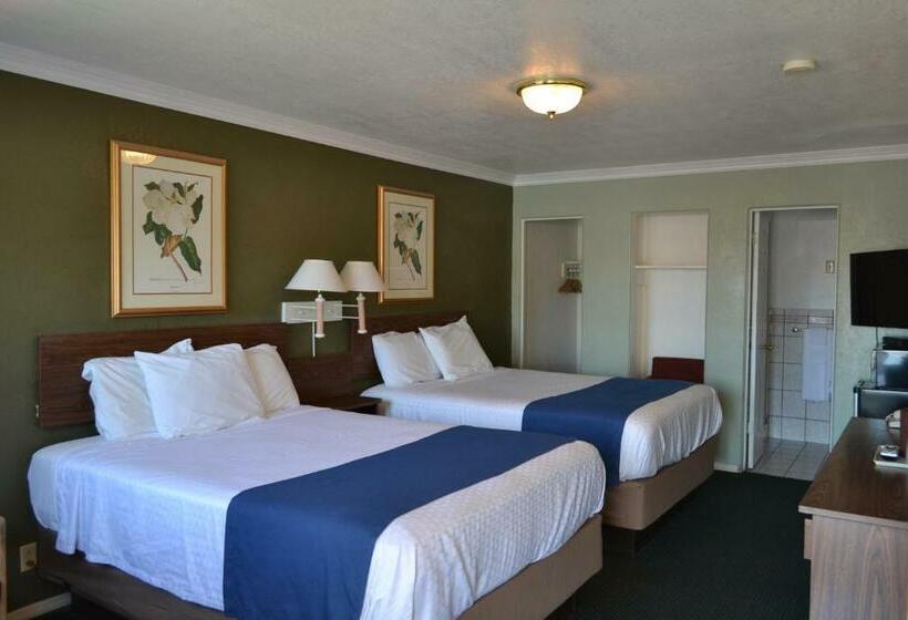 Номер Стандарт, Budget Inn