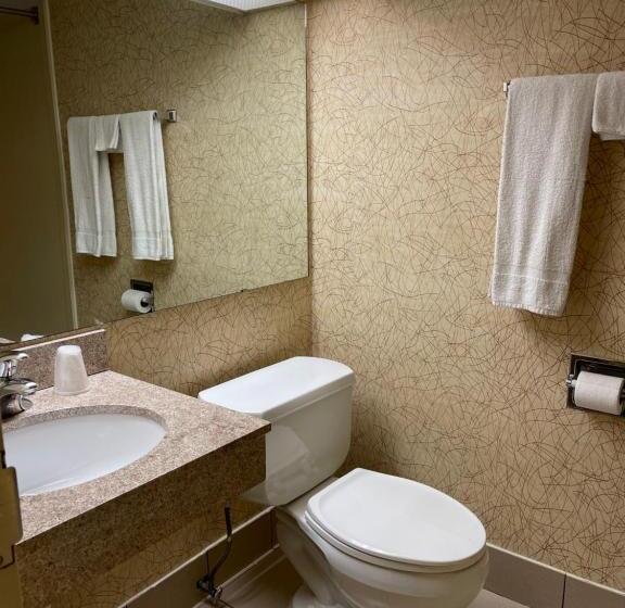 Номер Стандарт Индивидуальный, Budget Inn Temple Hills