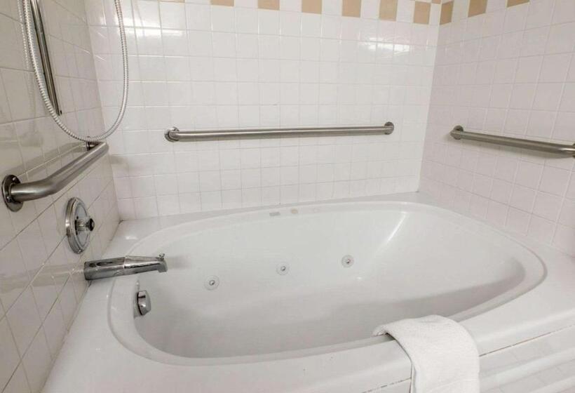 身障者適用スタンダードルーム, Quality Suites San Diego Otay Mesa