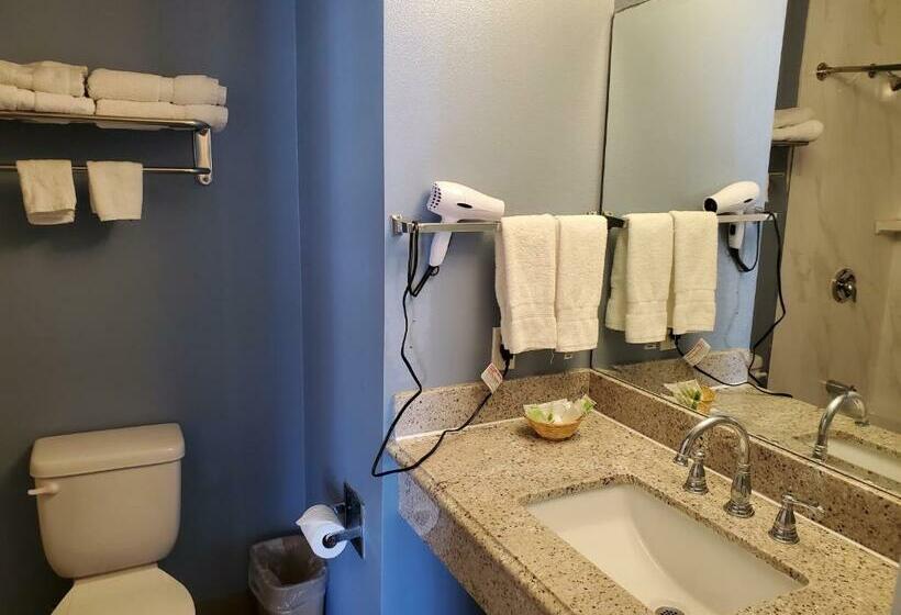 디럭스 룸 바다 전망, Ocean Surf Inn & Suites