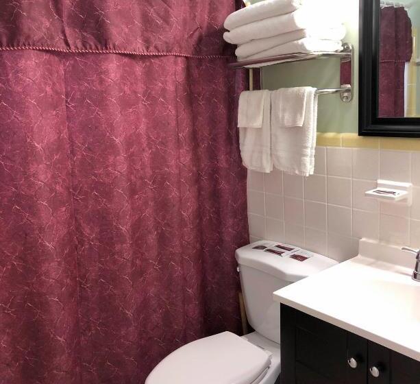 带双人大床的行政管理套房, Sunshine Inn & Suites Venice, Florida