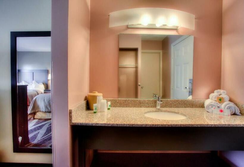 Номер Стандарт, The Beaucatcher – A Boutique Motel