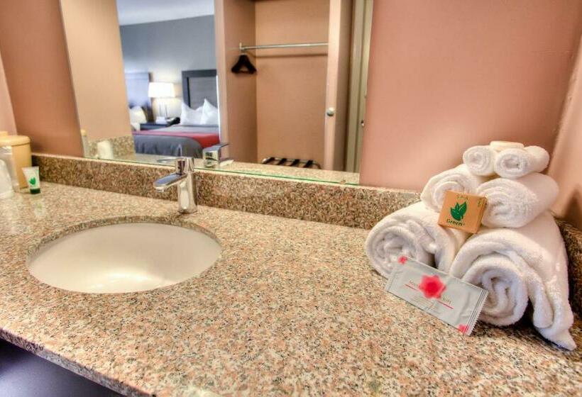 Номер Стандарт, The Beaucatcher – A Boutique Motel