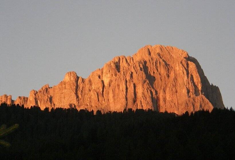 Классический номер с видом на горы, Garni Concordia   Dolomites Home