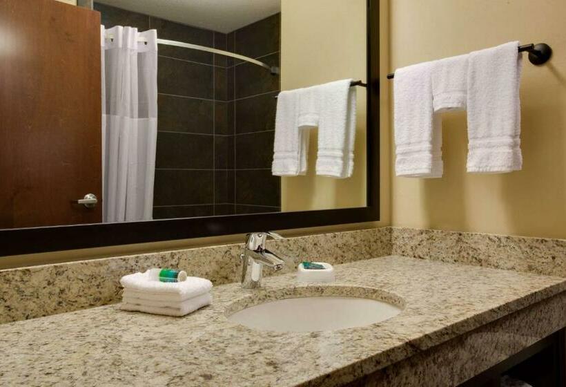 Люкс Deluxe Кровать Кинг, Drury Plaza Hotel Pittsburgh Downtown