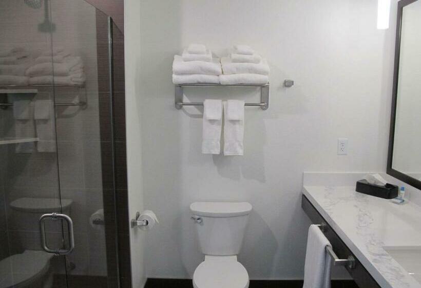 Стандартный Номер Кровать Кинг, Best Western Plus Peppertree Nampa Civic Center Inn