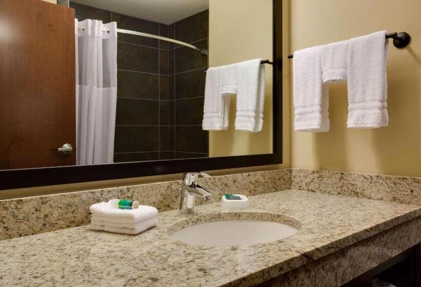 Люкс Адаптированный для Инвалидов, Drury Plaza Hotel Pittsburgh Downtown