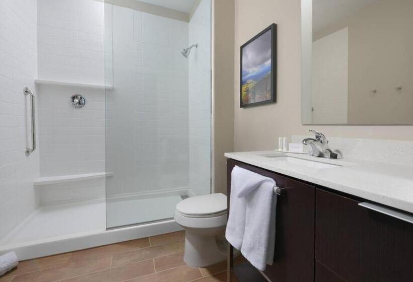 Студио Стандарт Кровать Кинг, Towneplace Suites By Marriott Denver South/lone Tree