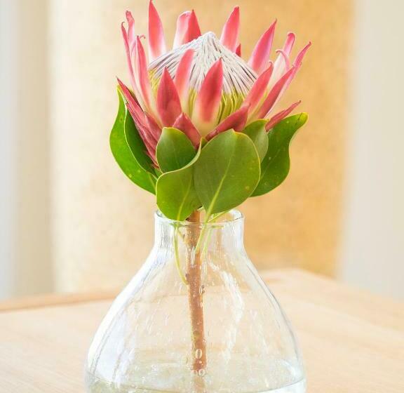 اتاق لوکس با چشم‌انداز دریاچه, Thebloem Guest Suites By Knysna Paradise Collection