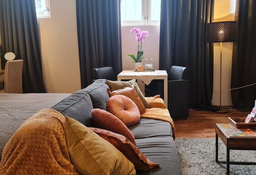 디럭스 룸, Crown Guesthouse Amsterdam