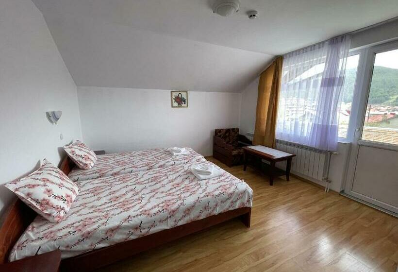 Номер Стандарт с Балконом, Family Hotel Panorama