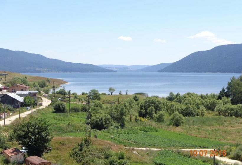 Номер Стандарт с Балконом, Family Hotel Panorama