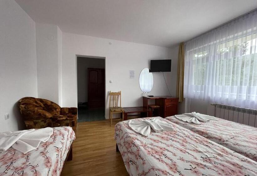 Трехместный Номер Стандарт с Балконом, Family Hotel Panorama