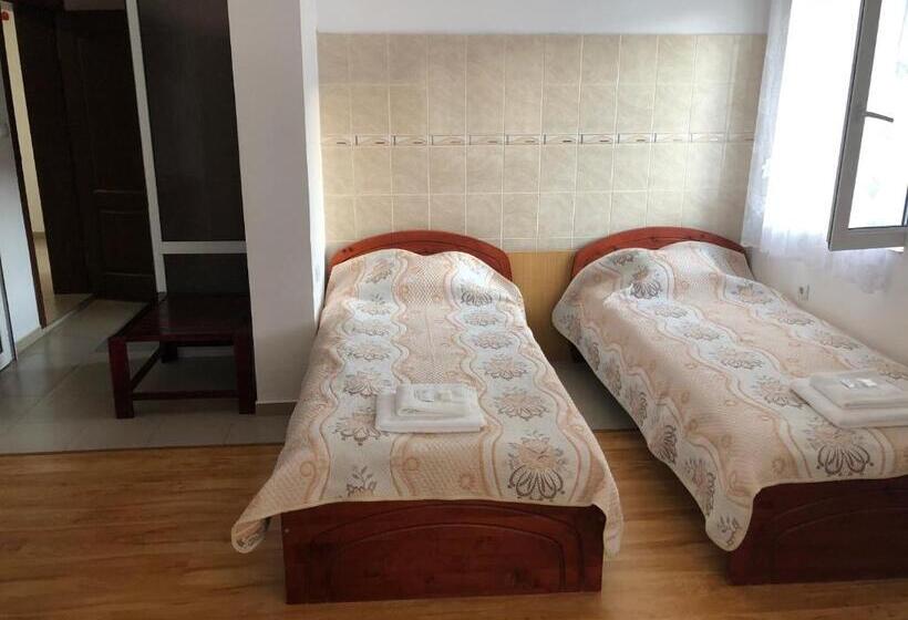 Апартаменты 1 Спальня Нижний Этаж, Family Hotel Panorama