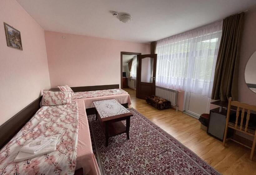 Апартаменты 1 Спальня с Балконом, Family Hotel Panorama