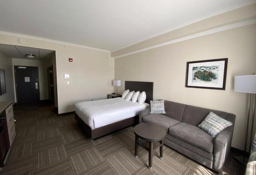 Номер Стандарт Адаптированный для Инвалидов, Crossroads Inn & Suites