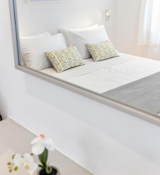 Номер Стандарт, Pelican Paros