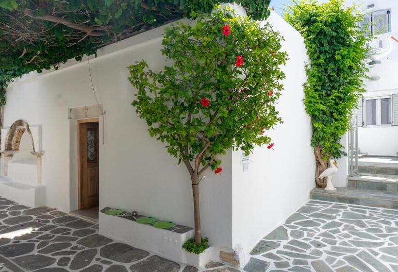 Номер Basic, Pelican Paros