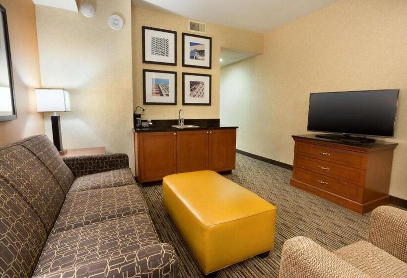 스위트, Drury Plaza Hotel Indianapolis Carmel
