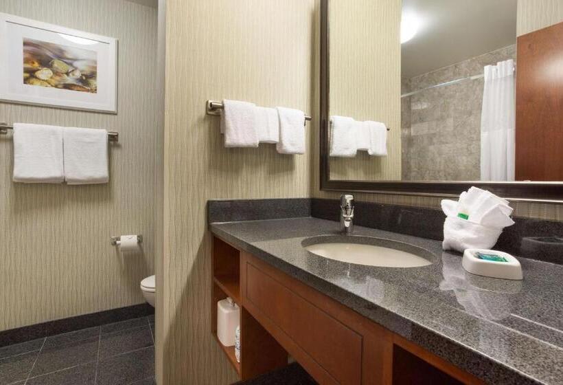 适合残疾人士使用的套间, Drury Plaza Hotel Indianapolis Carmel