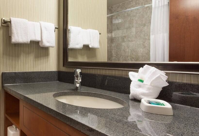 豪华房间, Drury Plaza Hotel Indianapolis Carmel
